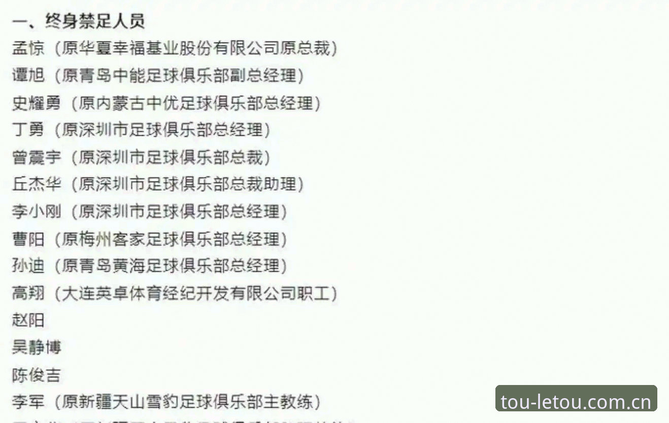 足协第三批禁足名单vs前两批：处罚力度与行业净化效果全面对比